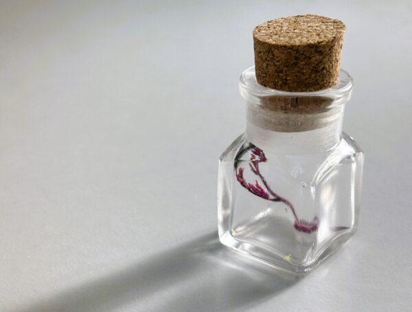 アンティーク　ガラス　薬品瓶　コルク栓あり コルク栓薬瓶（全7色）｜アロマ・インク・小分け保存に使えるガラス瓶
