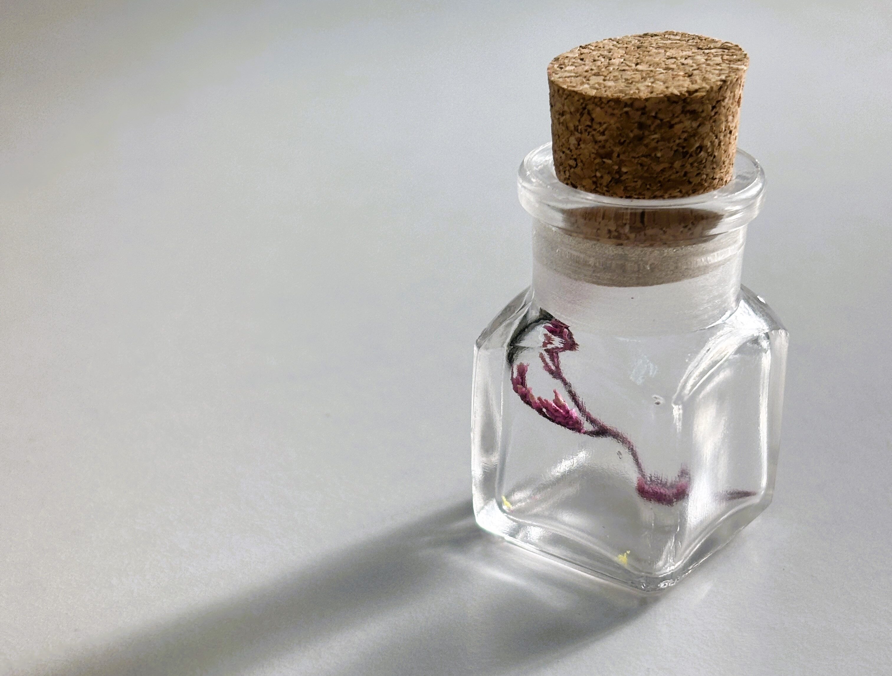 コルク栓薬瓶（全7色）｜医療用ガラスをモダンに再編集。アロマや小分け保存に最適なボトル - 画像 (10)