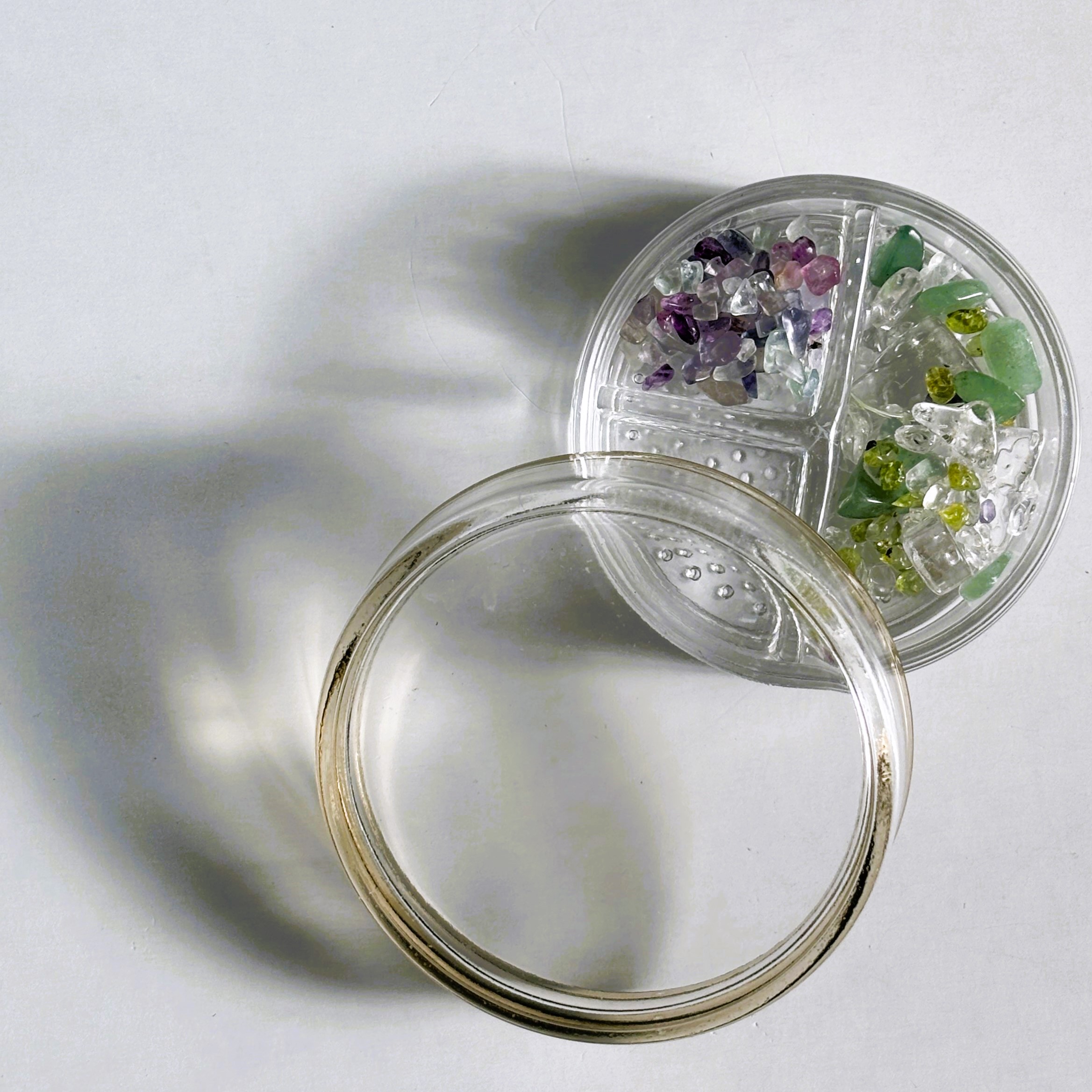 仕切り付きガラスシャーレ S/L(全2サイズ)|T字仕切りで美しく整える。アクセサリーやパーツを「見せながら仕分ける」ガラス容器