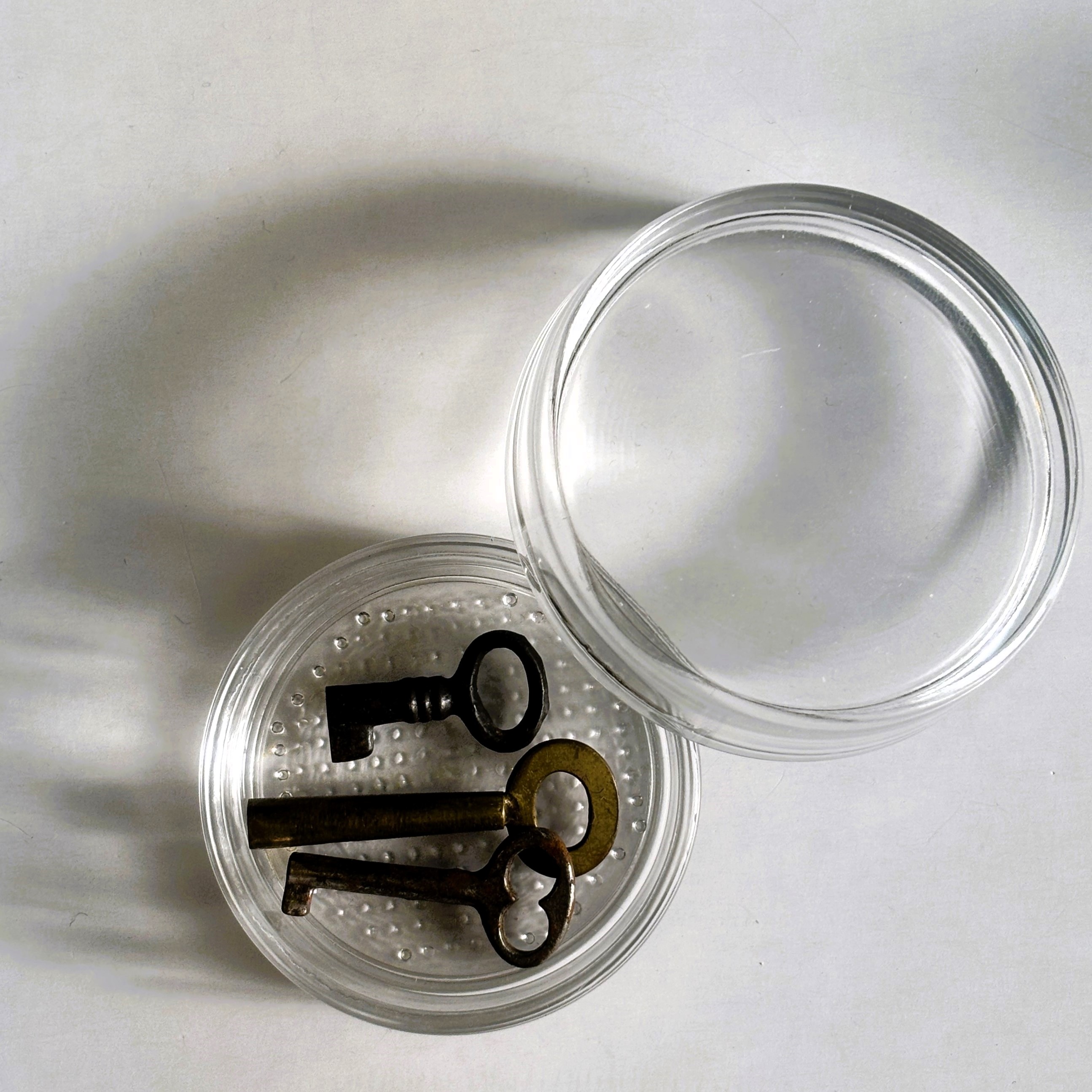 ガラスシャーレ S/L(フタ付き・全2サイズ)|透明ガラスの機能美。アクセサリーや素材を軽やかに整理する被せ式容器