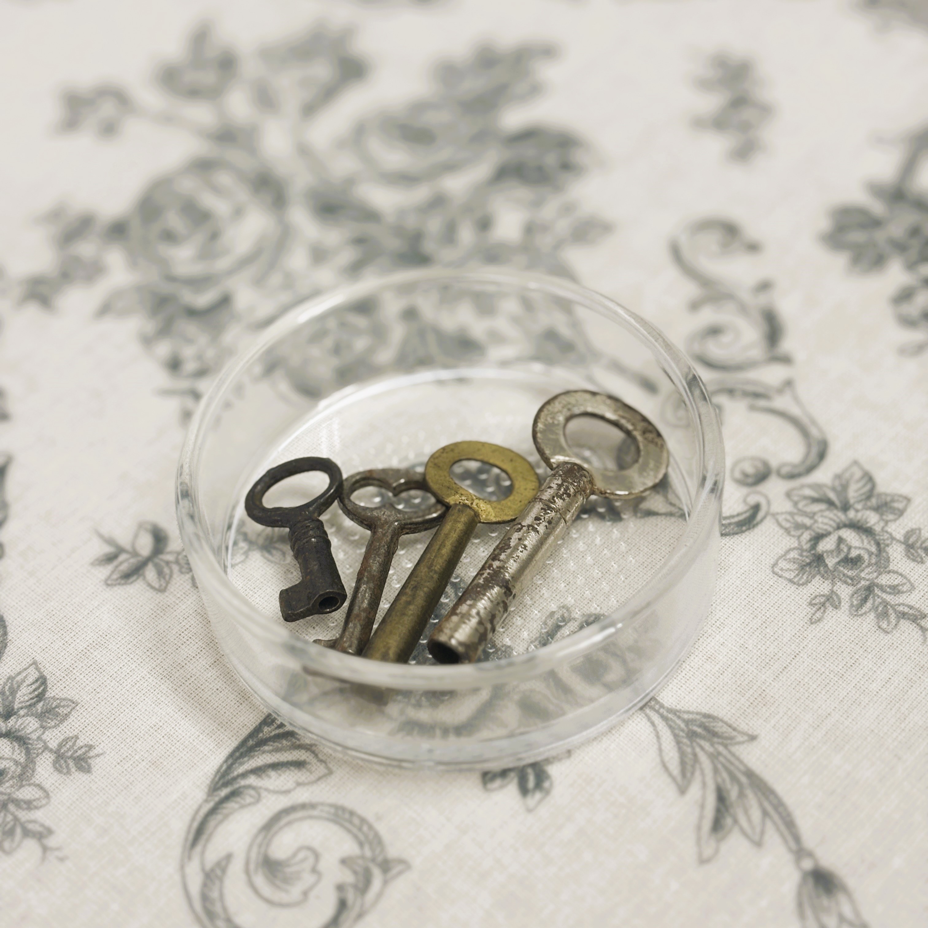 ガラスシャーレ（フタ付き・全2サイズ） - 画像 (3)