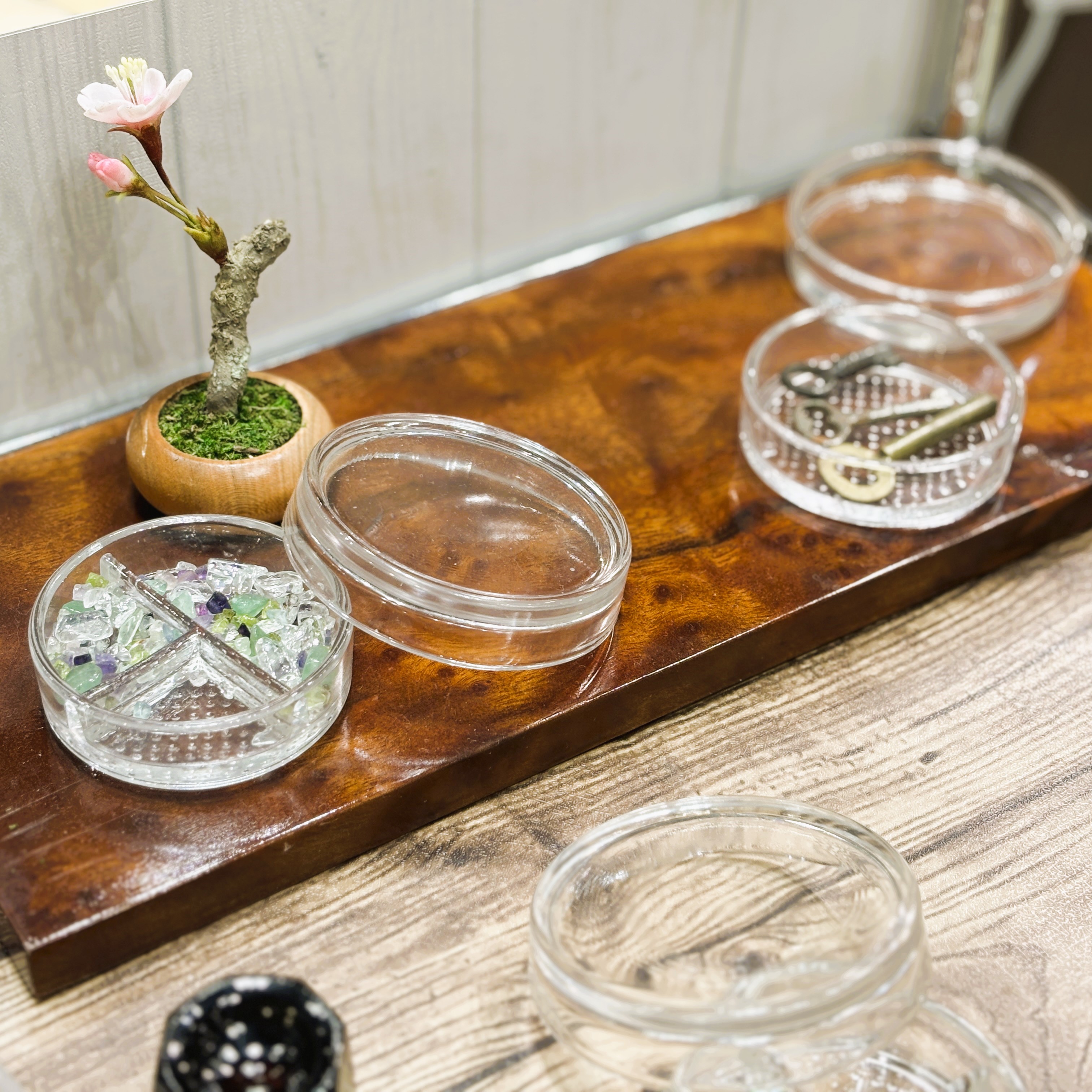 ガラスシャーレ（フタ付き・全2サイズ） - 画像 (2)